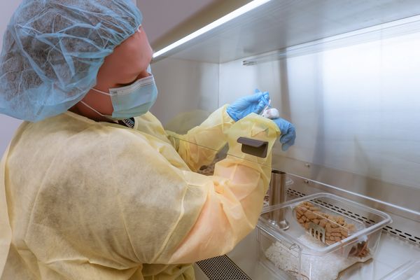 06a5432c3efbd9ae71e514bce0d1ee14dada92d4