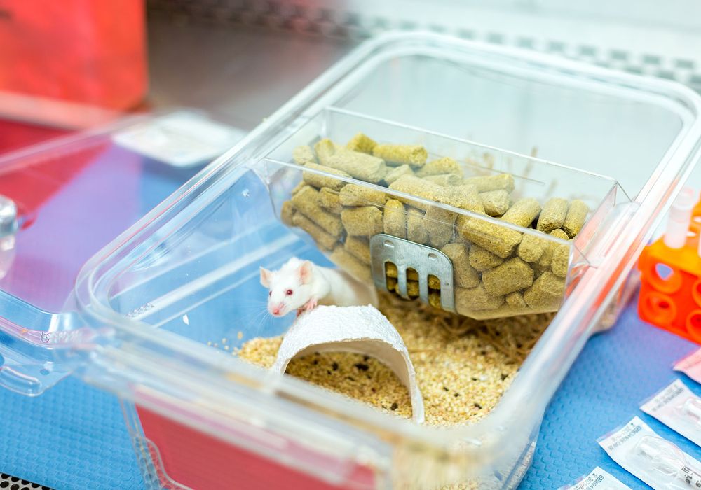 420-mb_facility_cambridge - edited