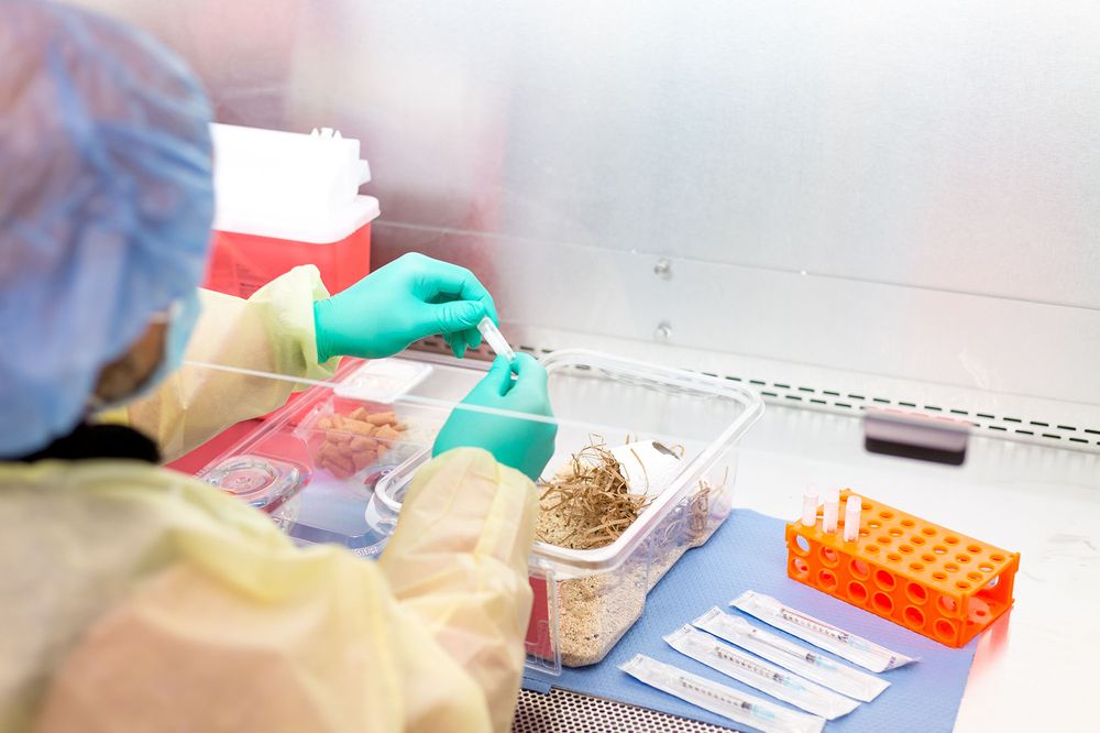 492-mb_facility_cambridge - edited