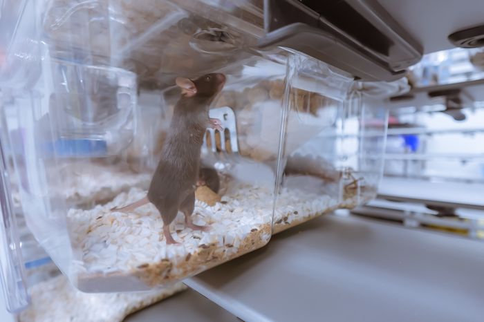 65fb63a271c011393362ad07b454ed8207fcedaa