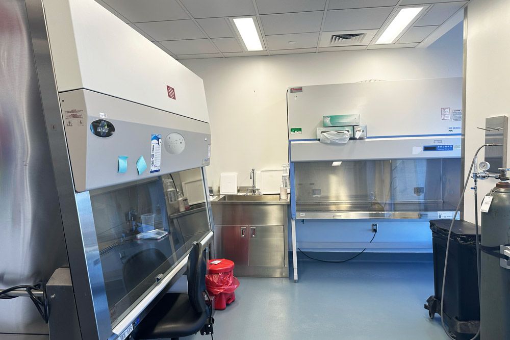 Boynton_Launch_Procedure