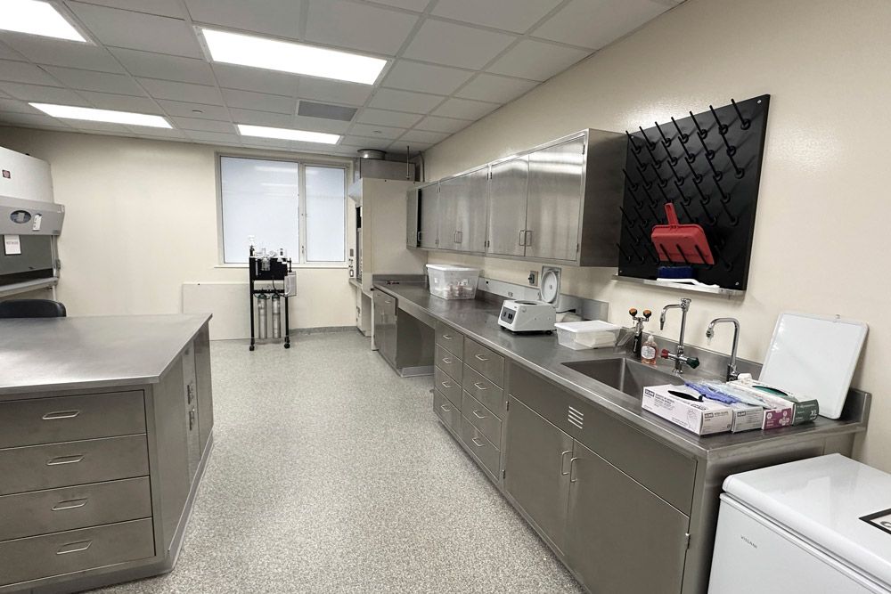 Farmingdale_NY_Necropsy_2