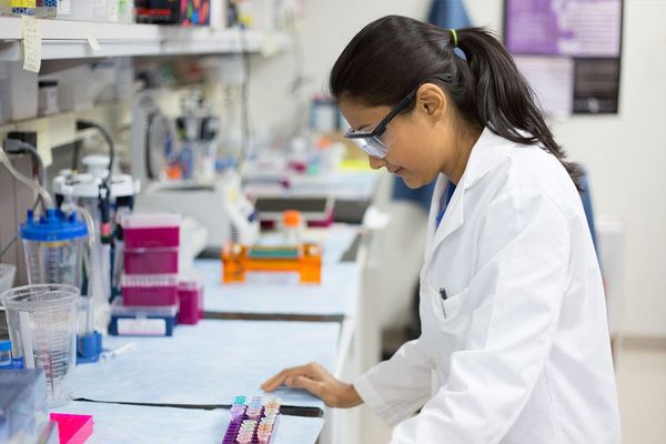 Scientist at Lab Bench
