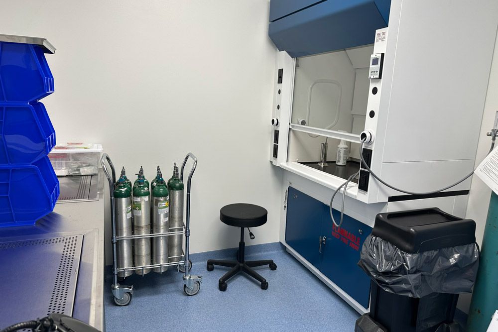 Long_Island_City_Necropsy