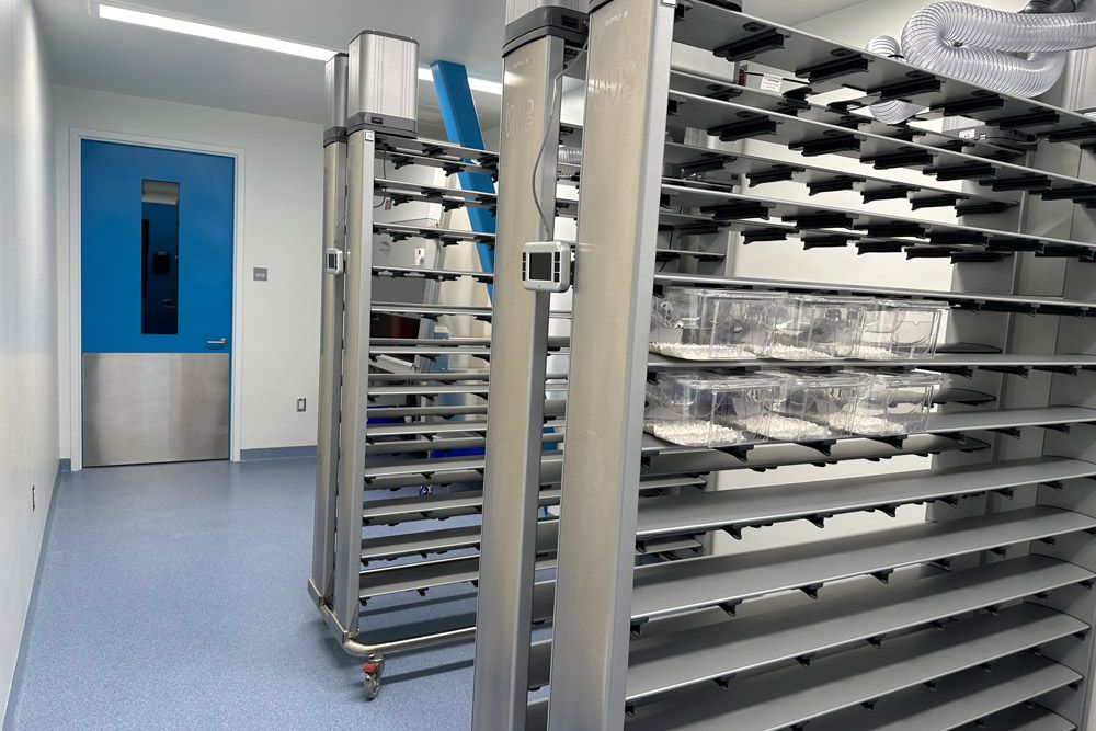 Memorial_drive_PVS_holding