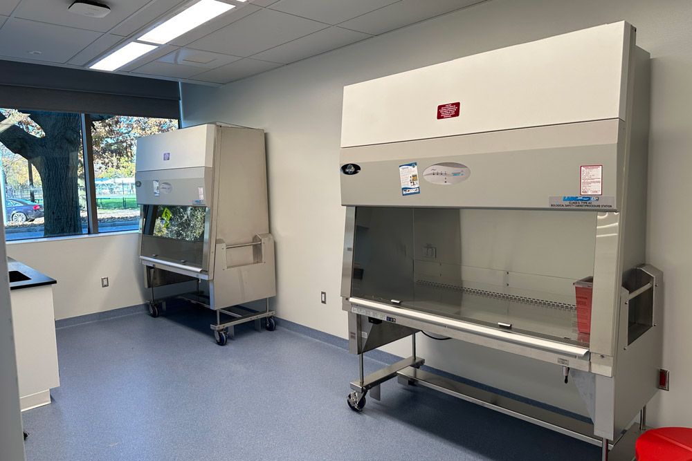 Shared procedure room at Memorial Drive