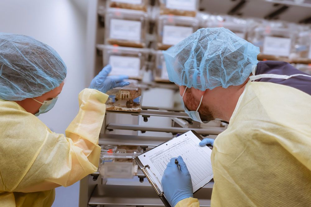 Vivarium Technicians Working