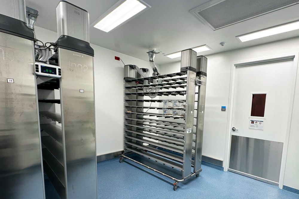 Southline_PVS_Holding