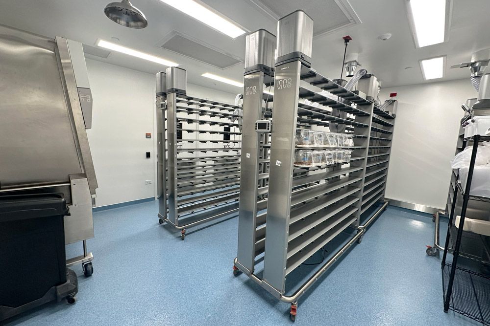 Shared holding room in Southline, Dorchester