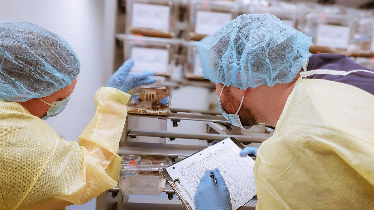 alternatives-to-contract-research-facilities