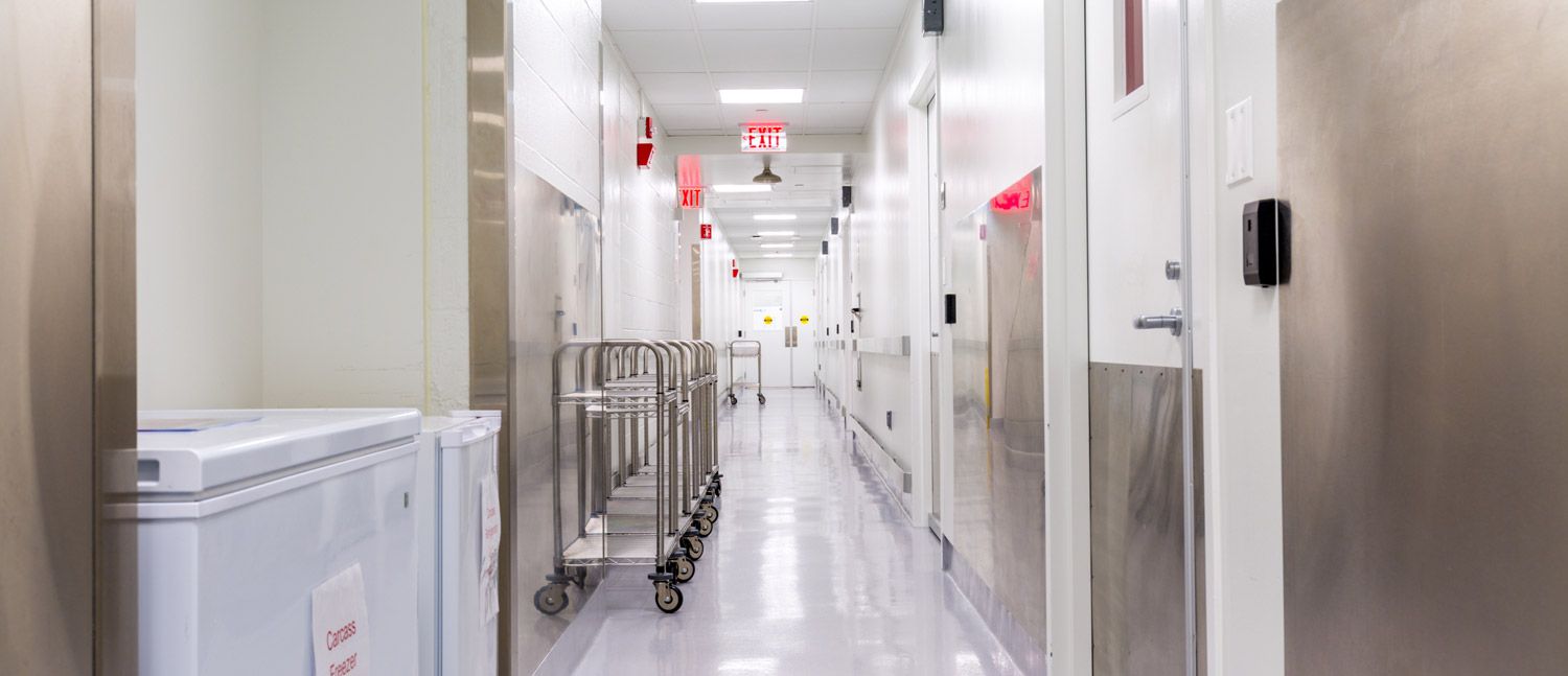 contract-vivarium-service-in-vivo-trials