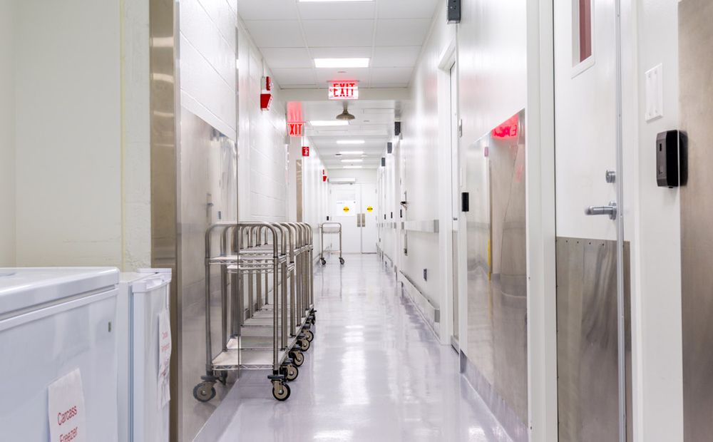 contract-vivarium-service-in-vivo-trials