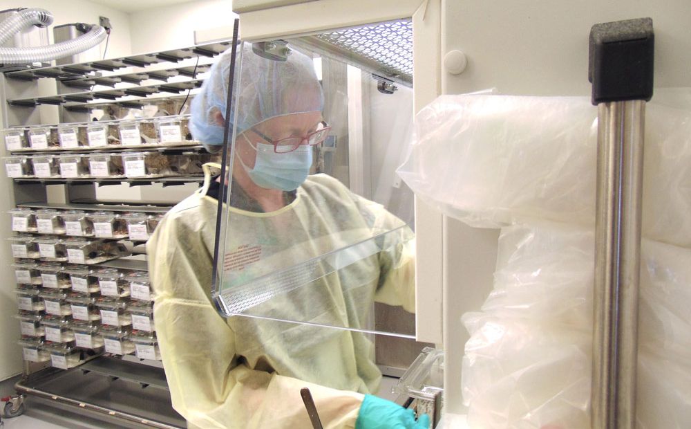 Technician Performing a Cage Change