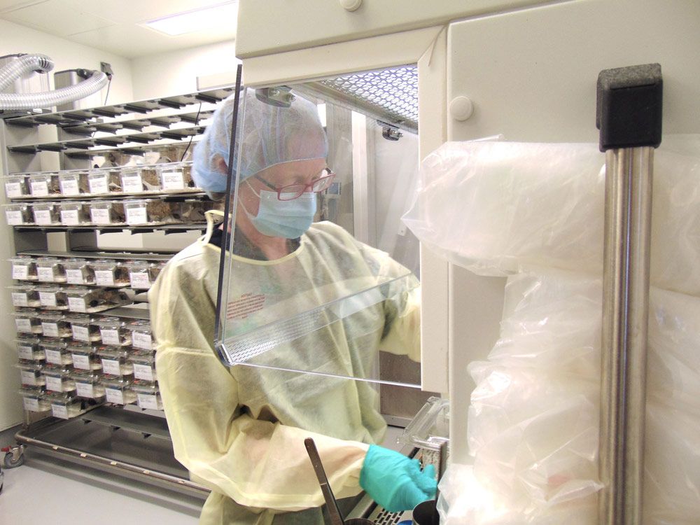 Technician Performing a Cage Change