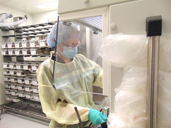 Technician Performing a Cage Change