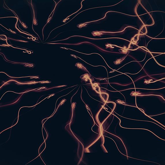 mariola-grobelska-5AOc3K0l38I-unsplash 1