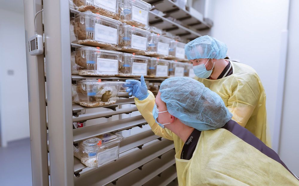 vivarium lab space at Mispro