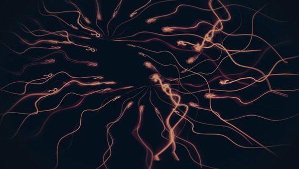 neurology-preclinical-studies