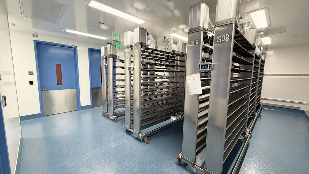 Shared holding room in San Carlos