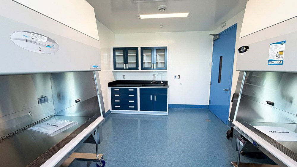 Shared procedure room in San Carlos