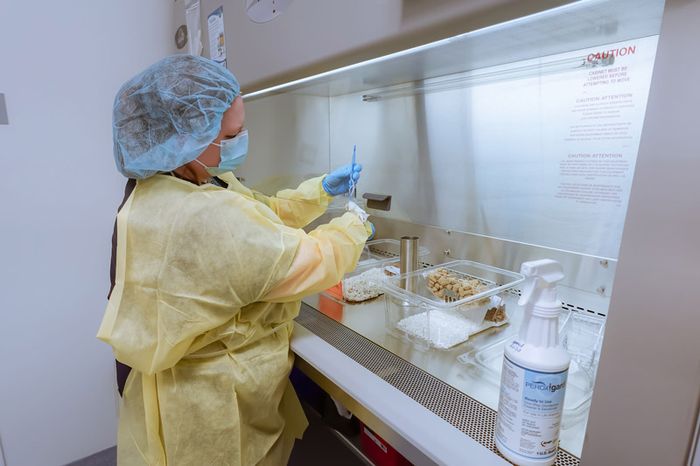 unlock-future-translational-science